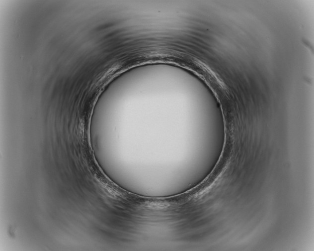 X0000091590825200708200950