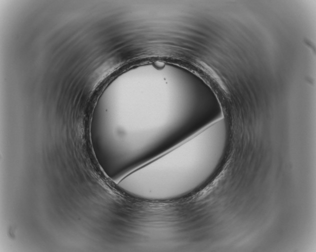 X0000091590826200708200950