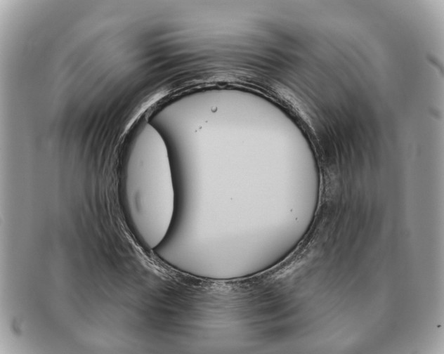 X0000091590827200708200950