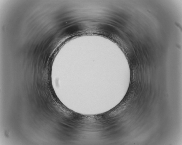 X0000091590828200708200950