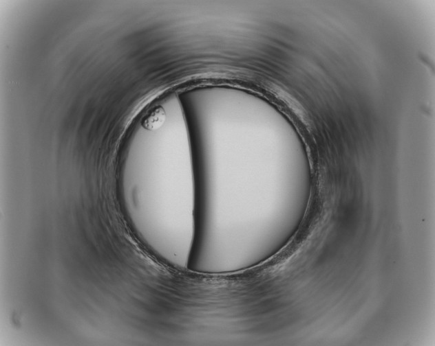 X0000091590829200708200950