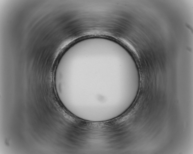X0000091590831200708200950