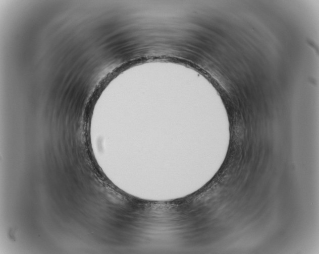 X0000091590832200708200950