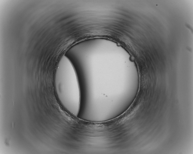X0000091590833200708200950