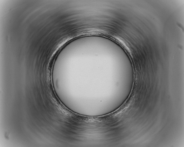 X0000091590835200708200950
