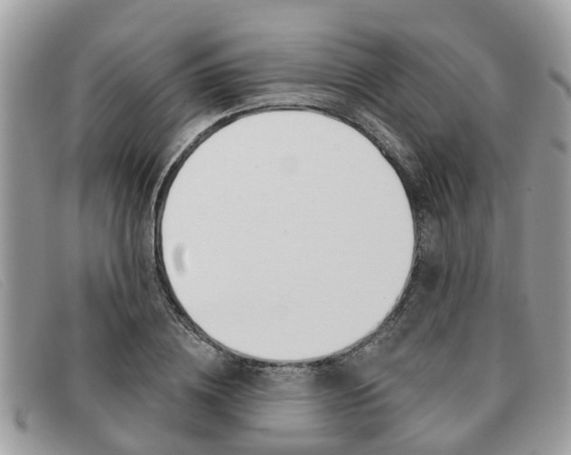 X0000091590836200708200950