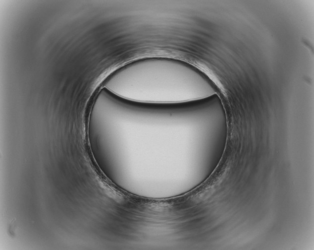 X0000091590837200708200950