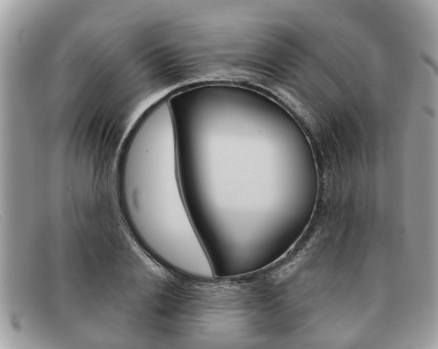 X0000091590838200708200950