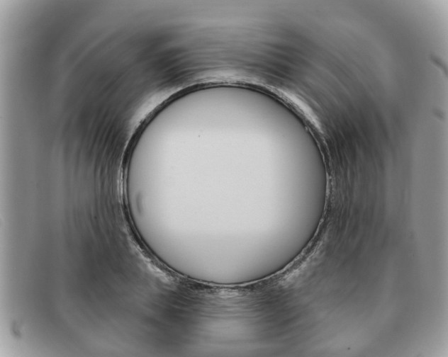 X0000091590839200708200950