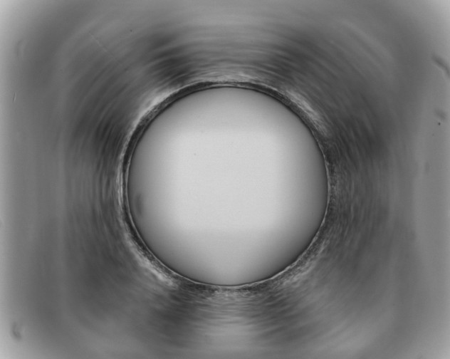 X0000091590840200708200950