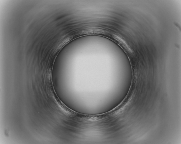 X0000091590841200708200950