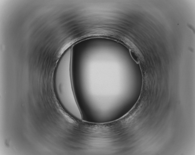 X0000091590842200708200950