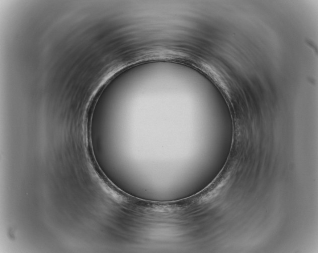 X0000091590843200708200950