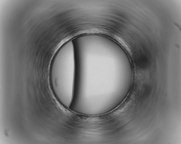 X0000091590845200708200950