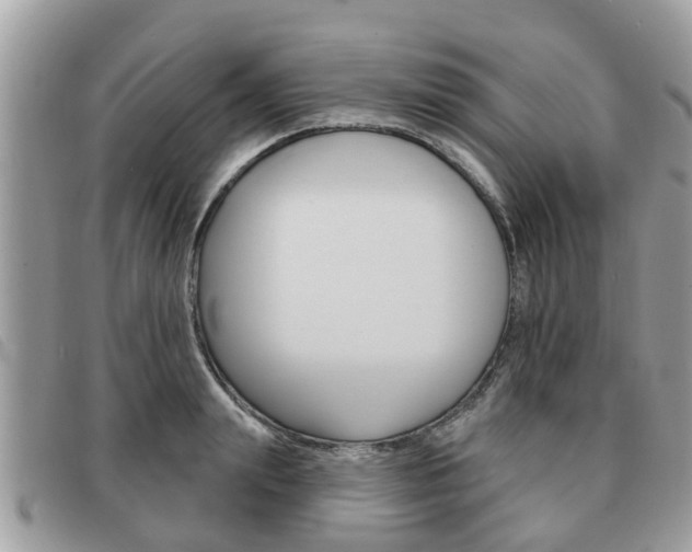 X0000091590847200708200950