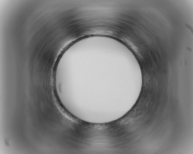 X0000091590848200708200950