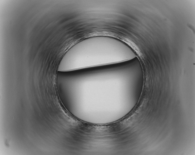 X0000091590849200708200950