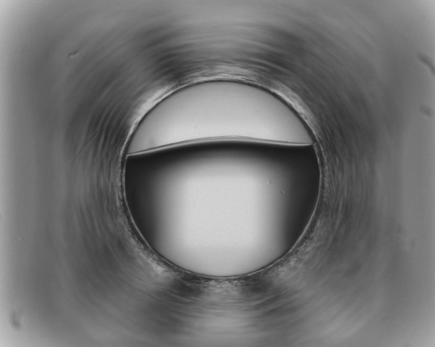 X0000091590850200708200950