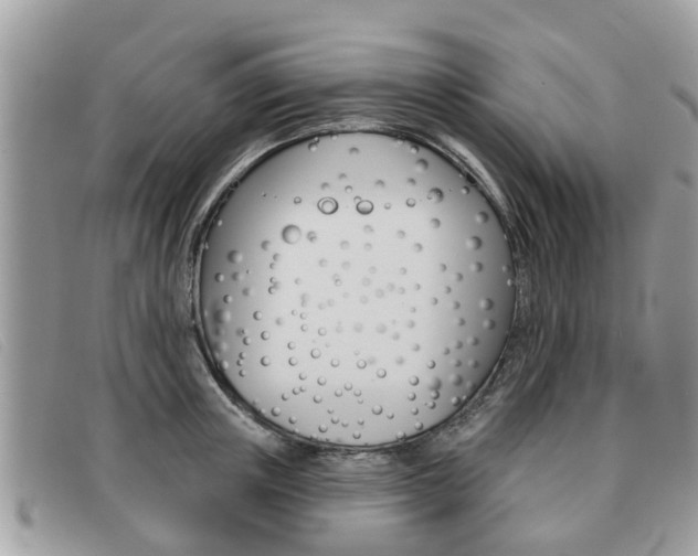 X0000091590851200708200950