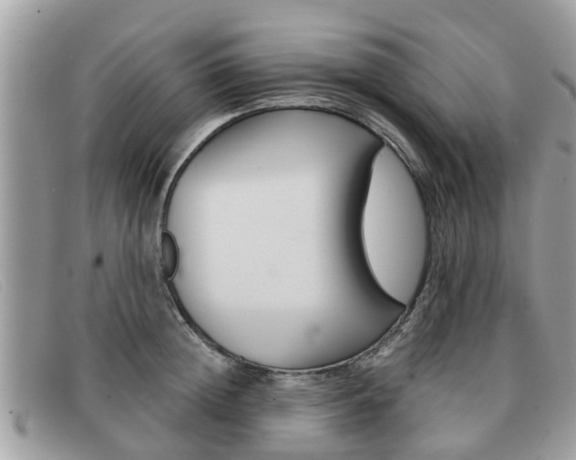 X0000091590852200708200950