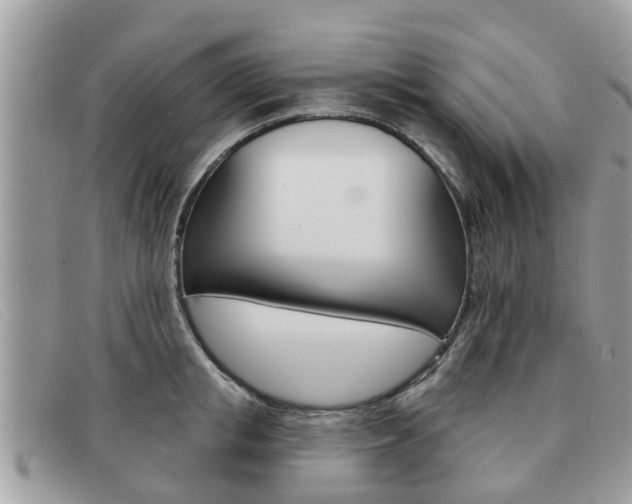 X0000091590853200708200950