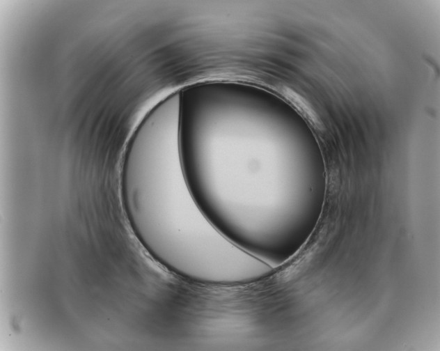 X0000091590854200708200950