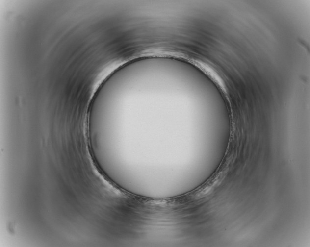 X0000091590855200708200950