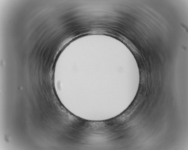 X0000091590856200708200950