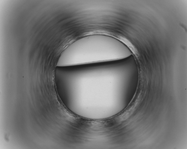 X0000091590857200708200950