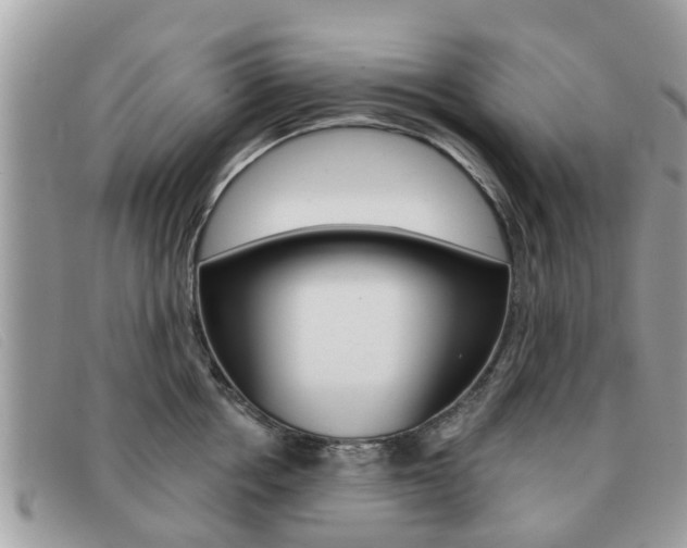 X0000091590858200708200950