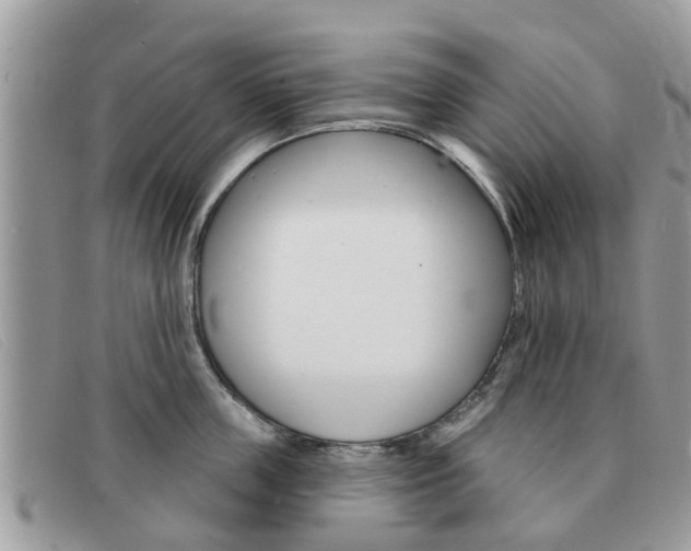 X0000091590859200708200950