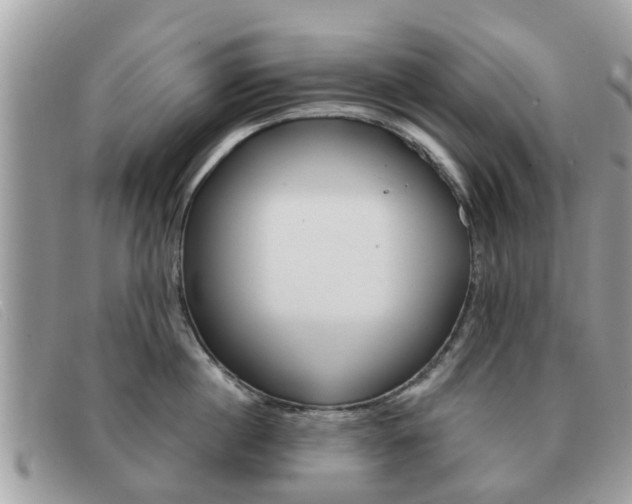 X0000091590860200708200951