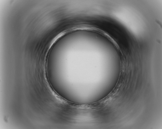 X0000091590861200708200951
