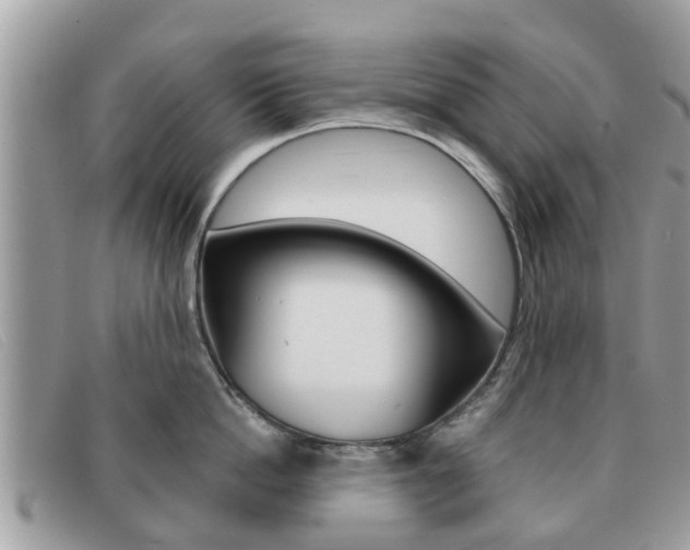 X0000091590862200708200951