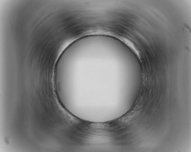 X0000091590863200708200951