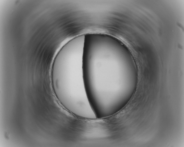 X0000091590864200708200951