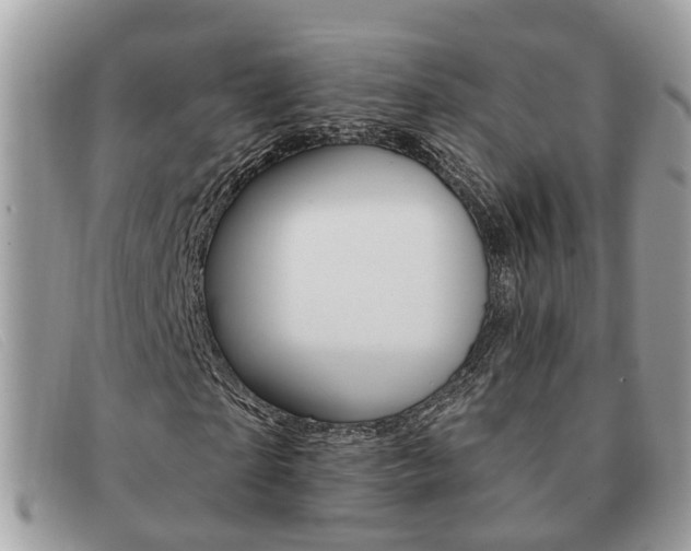X0000091590865200708200950