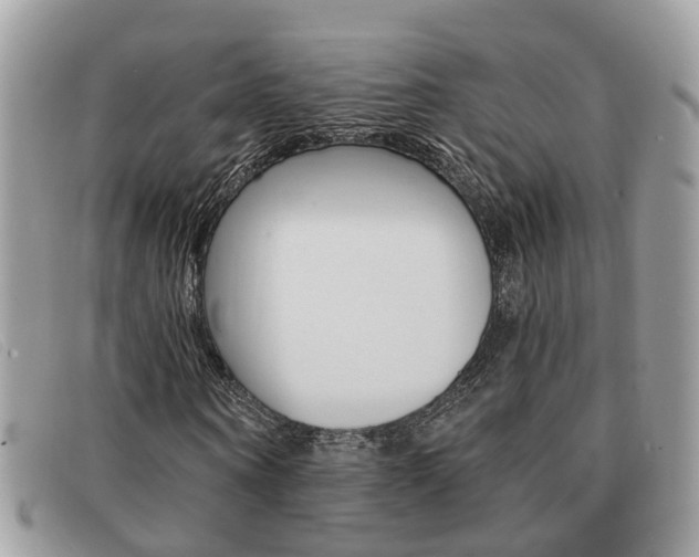 X0000091590866200708200950