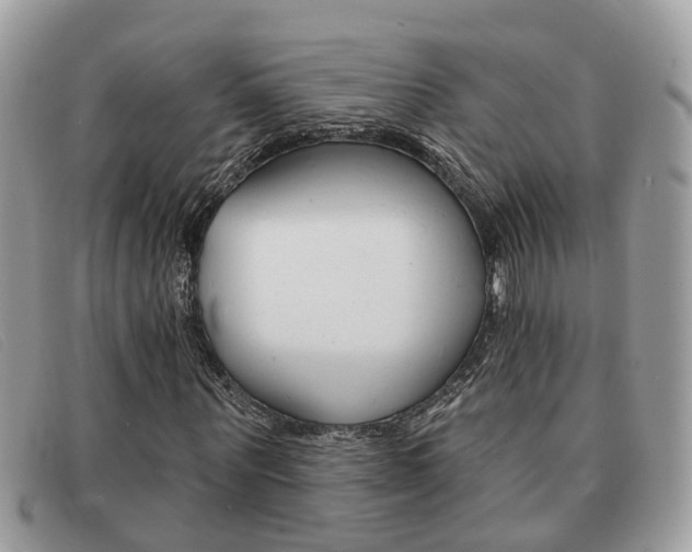 X0000091590867200708200950