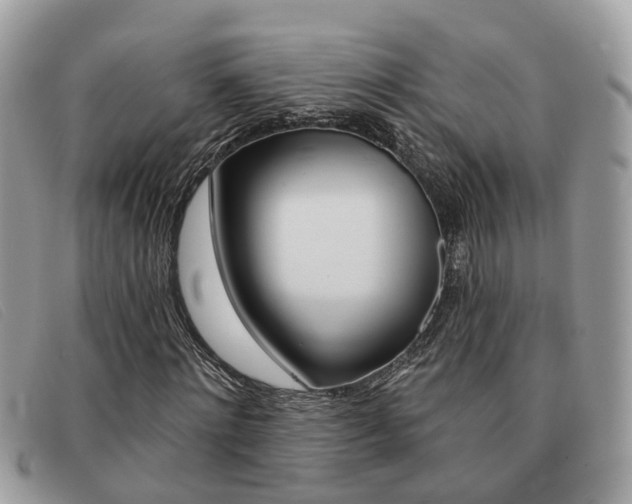 X0000091590868200708200950