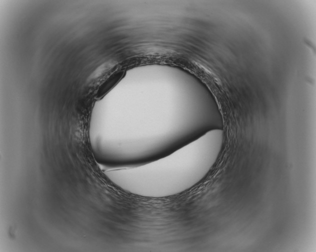 X0000091590869200708200950
