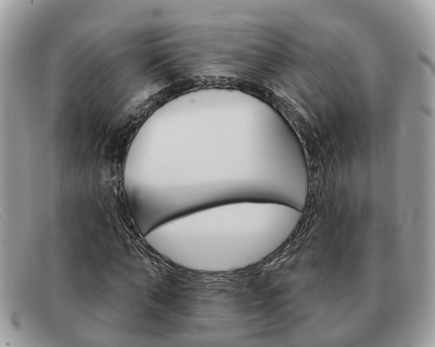 X0000091590870200708200950