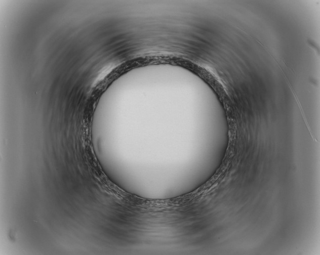 X0000091590871200708200950