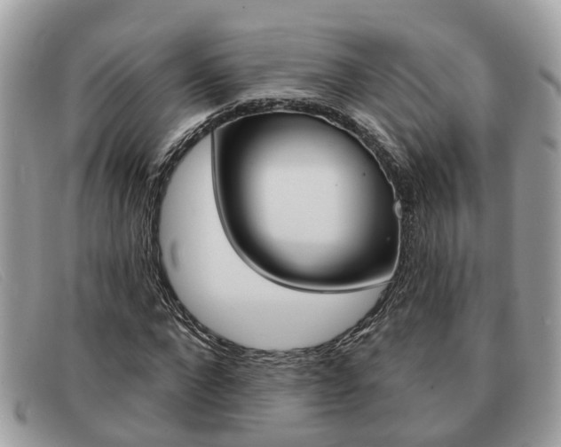 X0000091590872200708200950
