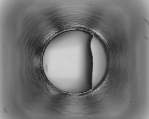 X0000091590873200708200950