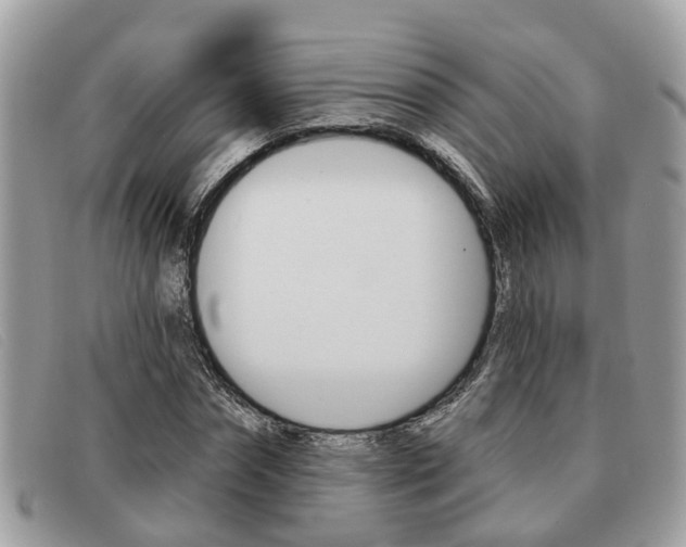 X0000091590874200708200950