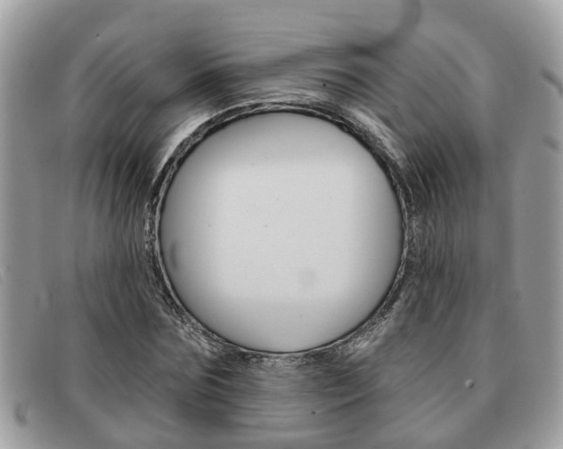 X0000091590875200708200950