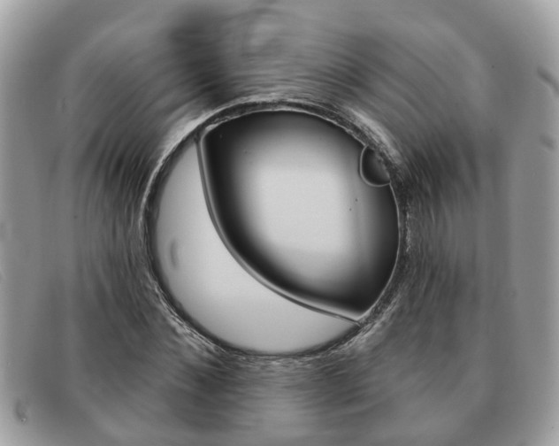 X0000091590876200708200950