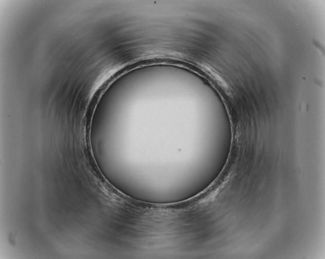 X0000091590877200708200950