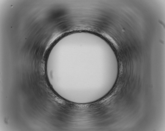 X0000091590878200708200950
